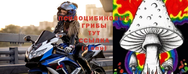дмт Алексин