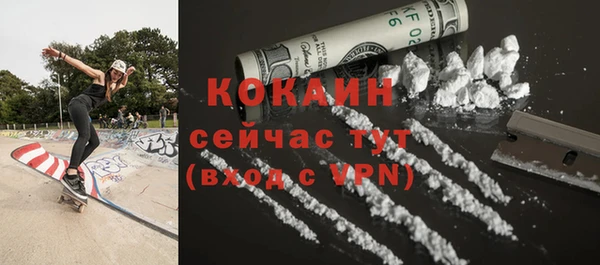 ешки Арсеньев